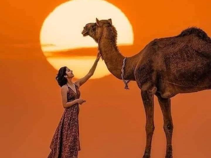Om Luxury Resort Jaisalmer Buitenkant foto